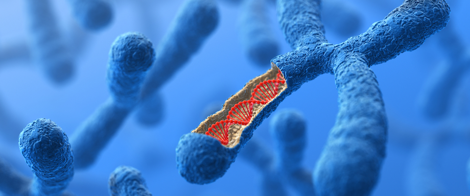 Cytogenetics